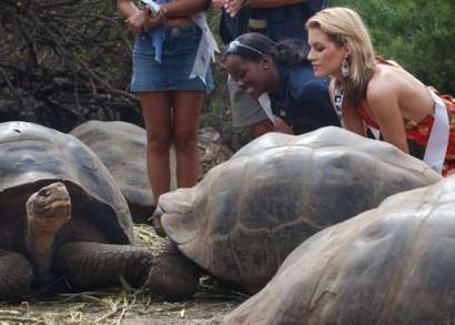Miss Universe contestants visit the Galapagos Islands